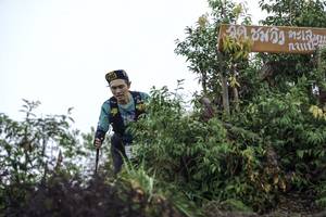 BIB: 
                            <button type="button" onclick="openModal(24739693)" class="btn btn-primary btn-sm float-right btn-popup" data-toggle="modal" data-target=".modal-high-quality">
                        <i class="fas fa-shopping-cart"></i> Add to Cart
                    </button>
                                            <button type="button" onclick="isThisMe(24739693, true)" class="btn btn-success btn-sm float-right btn-popup btn-isme hidden" data-toggle="tooltip" data-placement="bottom" title="นี่คือรูปของคุณใช่ไหม คลิกที่นี่เพื่อเอาเข้าอัลบั้ม">
                        <i class="fas fa-plus"></i> Add to album
                    </button>
                    <button type="button" onclick="isThisMe(24739693, false)" class="btn btn-warning btn-sm float-right btn-popup btn-isnotme hidden">
                        <i class="fas fa-ban"></i> Remove from album
                    </button>